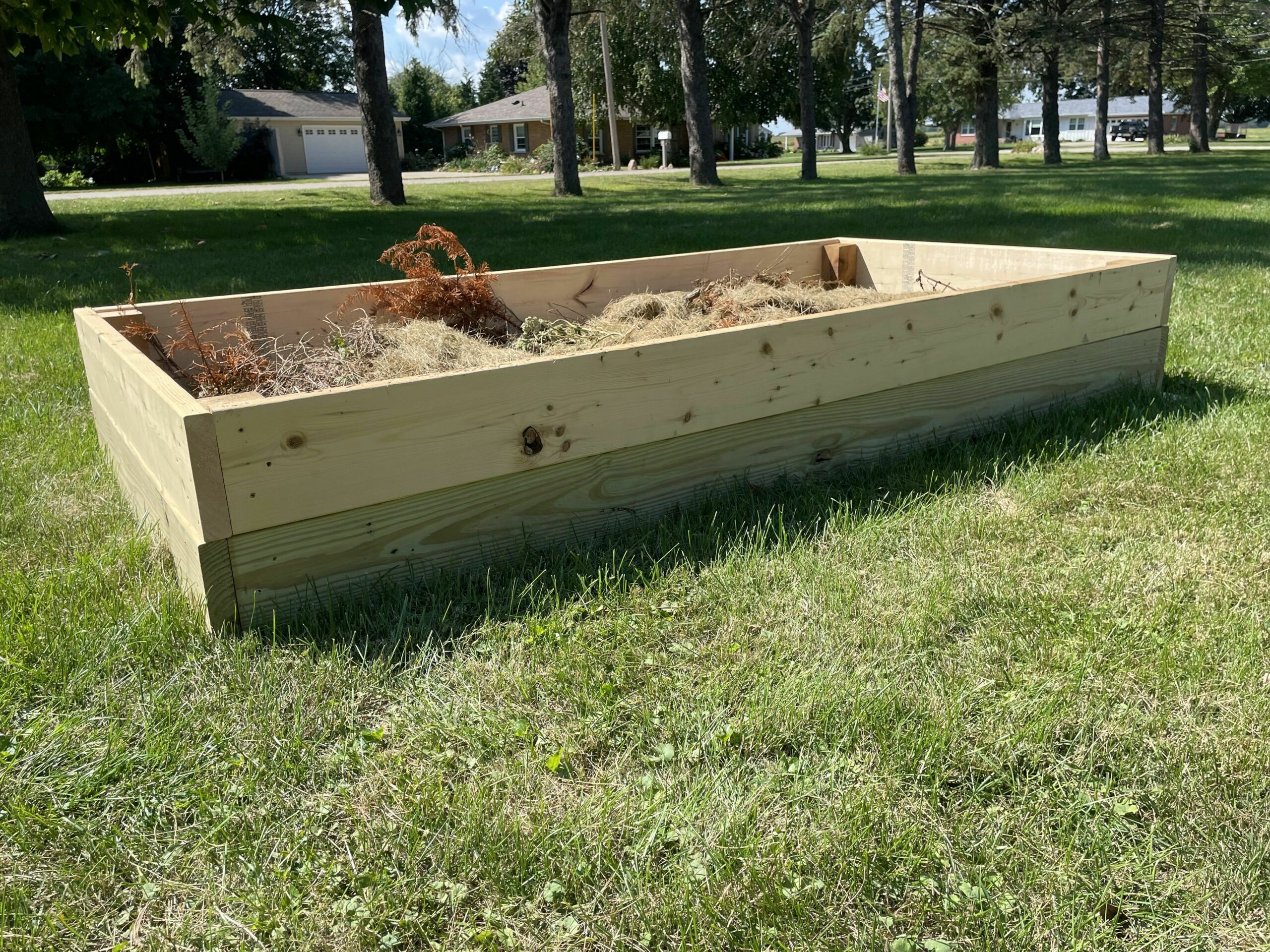 A raised garden bed sitting in the lawn. The sides are about 16 inches high. There is some organic compost material inside--grass clippings and branches.