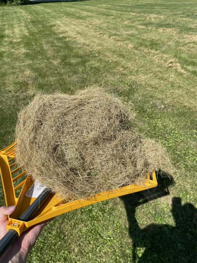 A garden rake lifted up to show a large ball of gathered grass clippings.